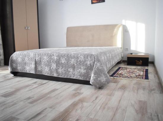 Casa Dumitru