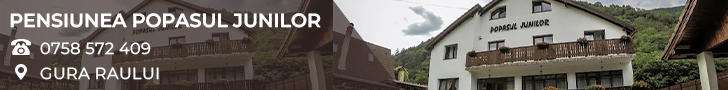 Pensiunea Popasul Junilor