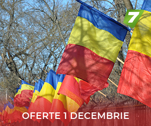 Oferta 1 Decembrie
