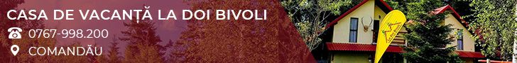 Casa de vacanta La Doi Bivoli