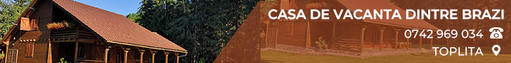 Casa de vacanta DINTRE BRAZI