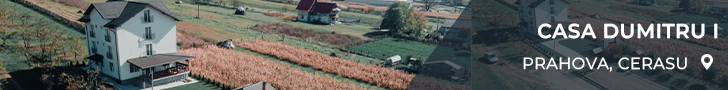 Casa DUMITRU I Casa DUMITRU I