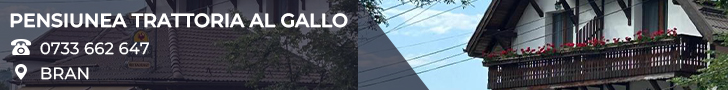 Pensiune TRATTORIA AL GALLO
