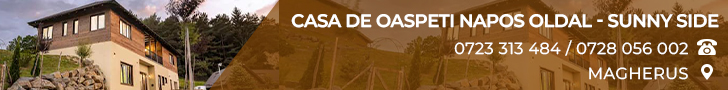 Casa de oaspeti NAPOS OLDAL - SUNNY SIDE Casa de oaspeti NAPOS OLDAL - SUNNY SIDE