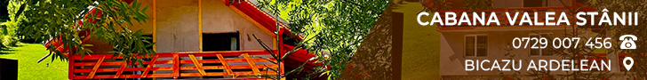 Cabana Valea Stânii
