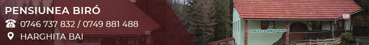 Pensiunea BIRO