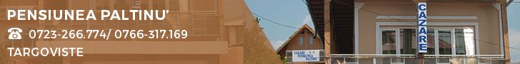 Pensiunea Paltinu'