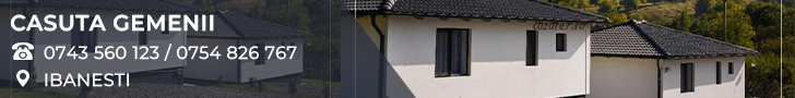 Casuta GEMENI Casuta GEMENI