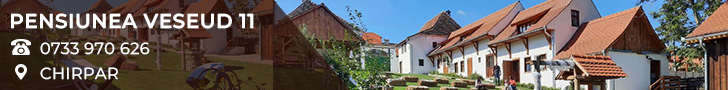  Pensiunea VESEUD 11