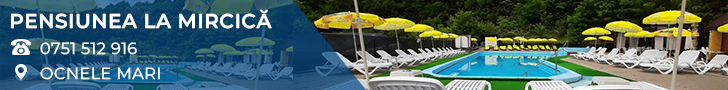 Pensiune LA MIRCIC?