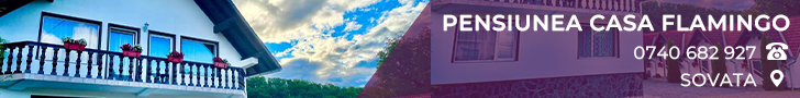 Pensiunea CASA FLAMINGO