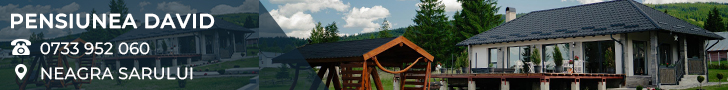 Pensiunea DAVID