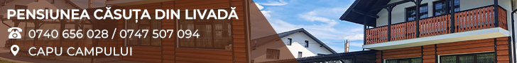 Pensiune C?SU?A DIN LIVAD?
