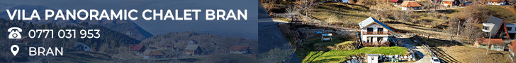 Vila PANORAMIC CHALET BRAN