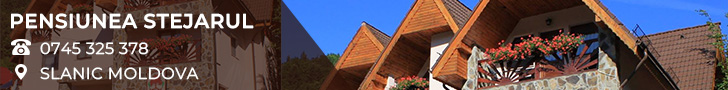 Pensiunea STEJARUL