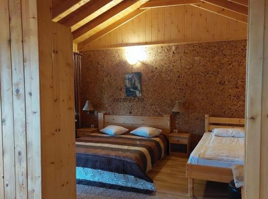 Galerie poze Vacanță de vis la Pensiunea Angela din Balata: Descoperă farmecul și legenda județului Hunedoara