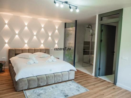 Galerie poze ​Refugiu de Poveste în Valea Doftanei: Descoperă Infinity View Chalet din Teșila