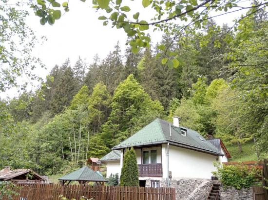 Refugiu de Poveste în Aerul Curat al Harghitei: Cazare la Casa Török din Băile Homorod