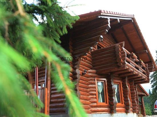 Oază de Liniște în Munții Cindrel: Descoperă Cabana Rustic din Păltiniș