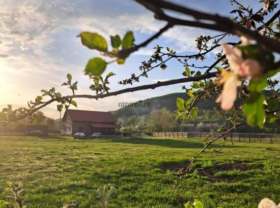 Cabana Genune Bucea îți oferă refugiul ideal departe de agitația orașului