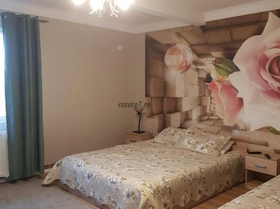 Galerie poze Vacanță de vis la Pensiunea Angela din Balata: Descoperă farmecul și legenda județului Hunedoara