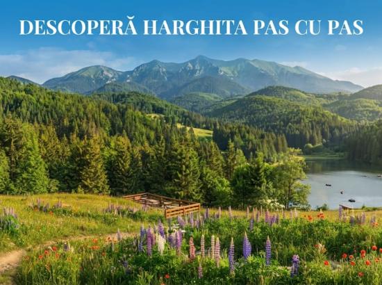 Descoperă Harghita pas cu pas: Ghidul tău pentru o vacanță de vis la munte
