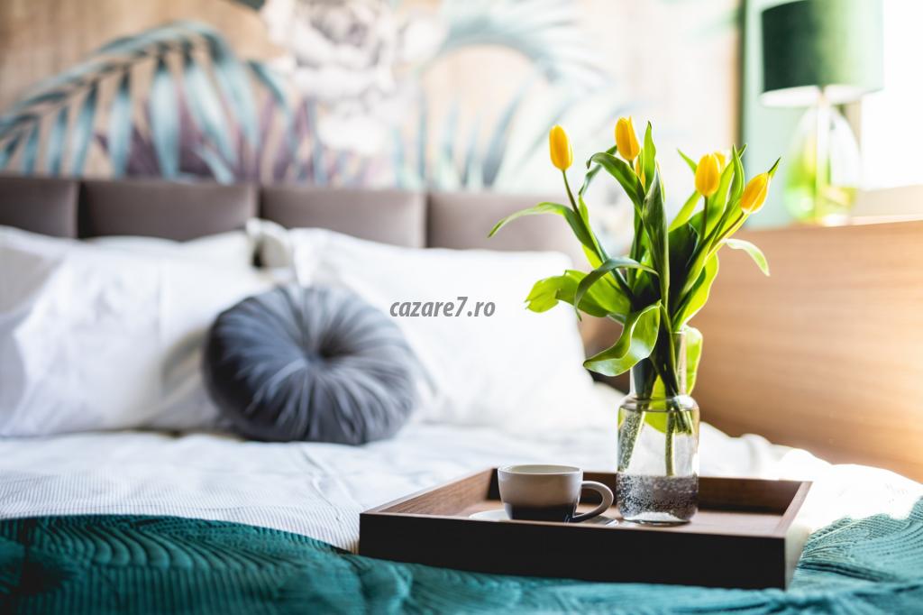 Poza camera Hotel Cazare