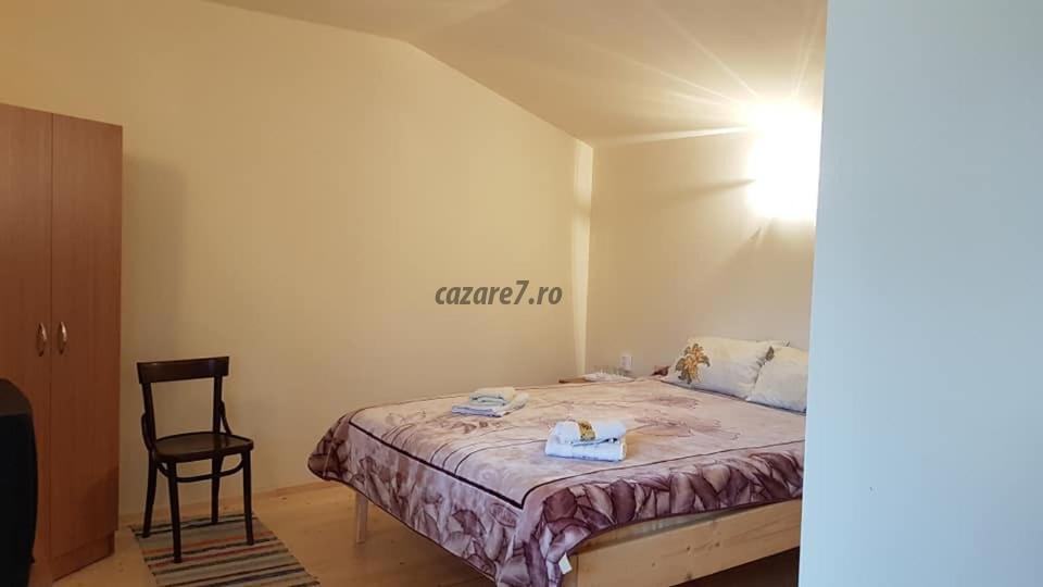 Poza camera Pensiunea Casa Motilor