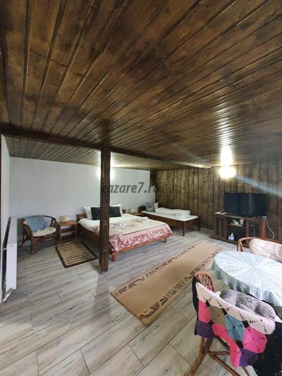 Poza camera Pensiunea Casa Motilor