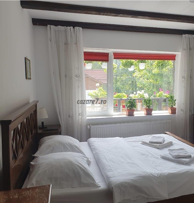 Poza camera Pensiunea CAPRA CU TREI IEZI