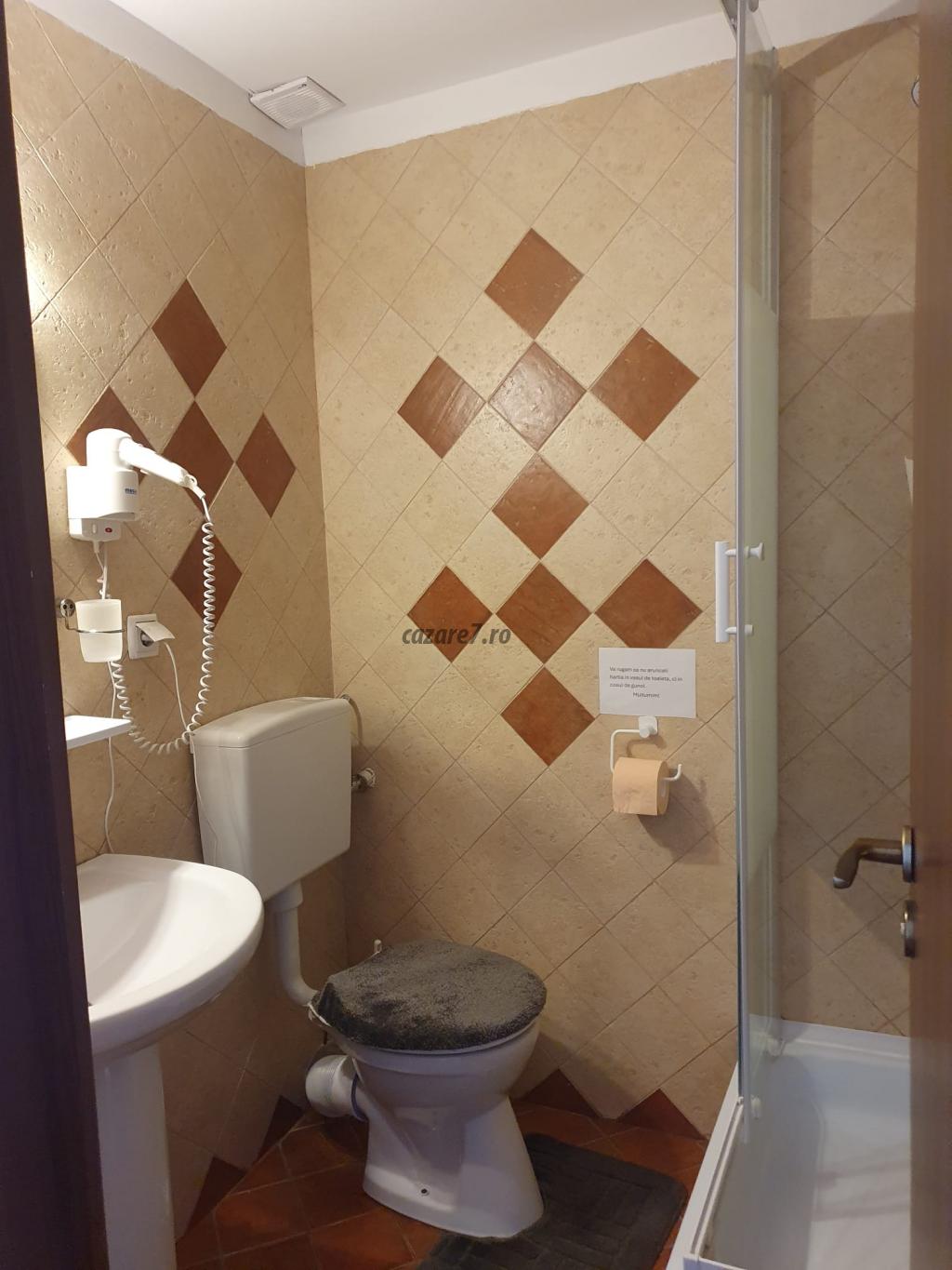 Poza camera Pensiunea CAPRA CU TREI IEZI