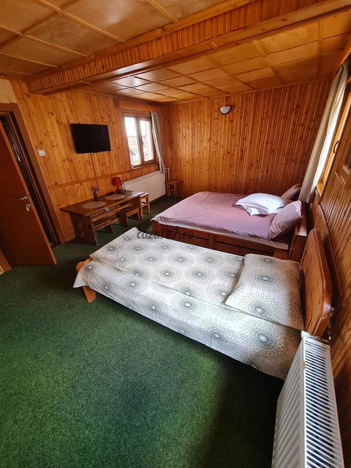 Poza camera Vila Ciocârlia