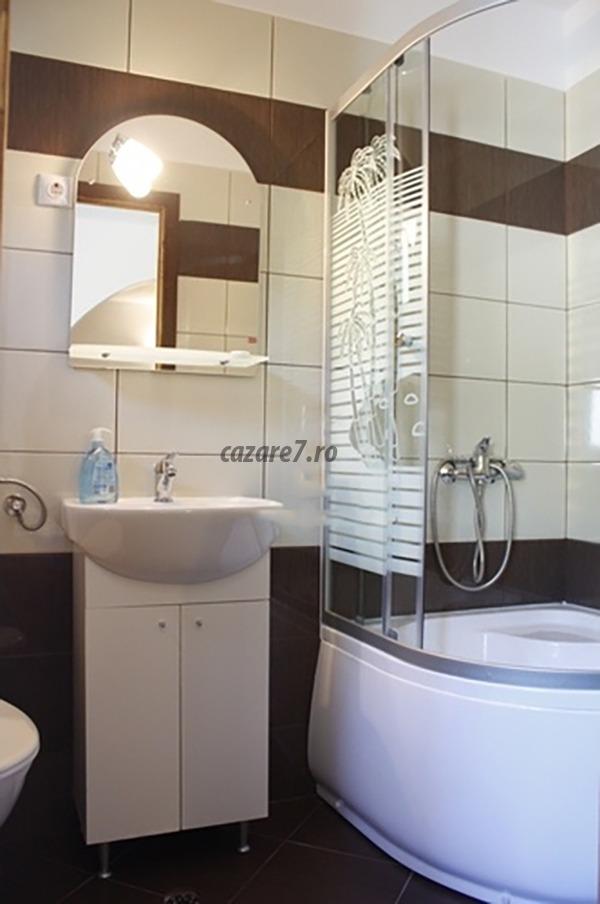 Poza camera Vila Ciocârlia