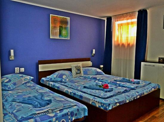 Poza Casa Nobilium