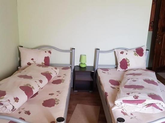 Poza Pensiunea Casa Motilor