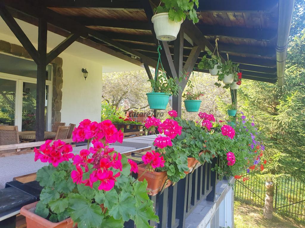 Poza vara Pensiunea CAPRA CU TREI IEZI