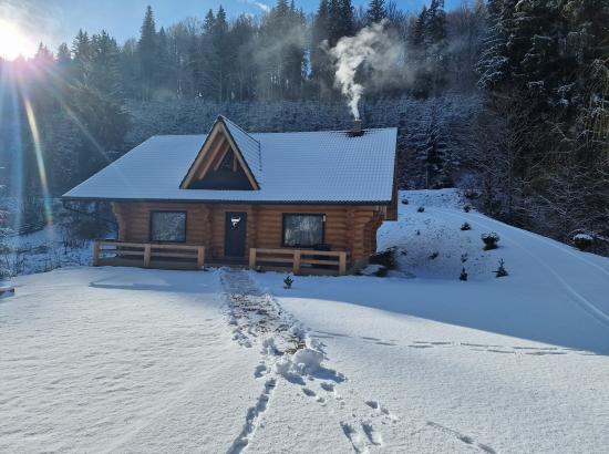 Poza Cabana Wild Tree House