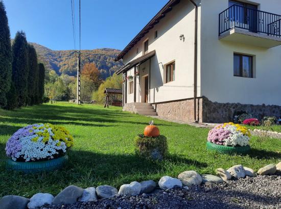 Poza Casa Teo House