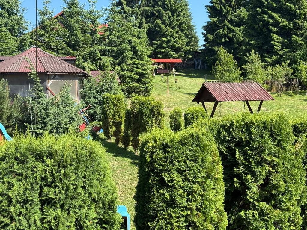 Poza vara Cabana La Vio