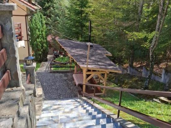 Poza Vila Holiday Houses