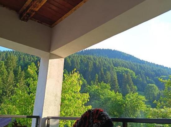 Poza Casa Bebe  Grințieș