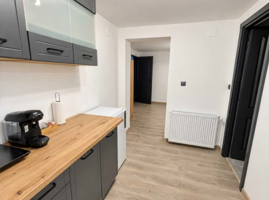 Poza Camere de inchiriat PAL Apartments 2