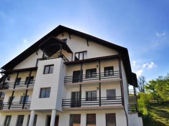 Vila TRANSYLVANIA APARTMENTS