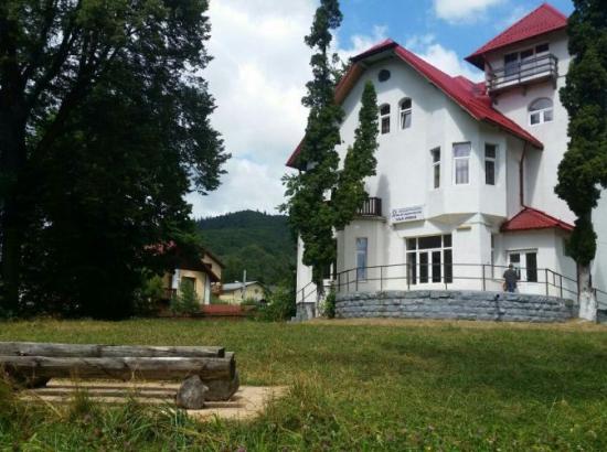 Vila Crisul
