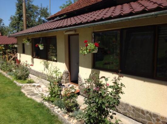 Casa Bucur