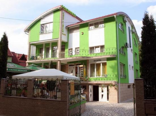Pensiunea CASA ALEX (FOSTA PINTEA)