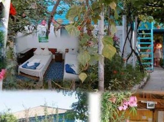 Casa de vacanta Casa Ana