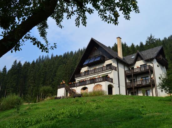 Pensiunea Bucovina Lodge