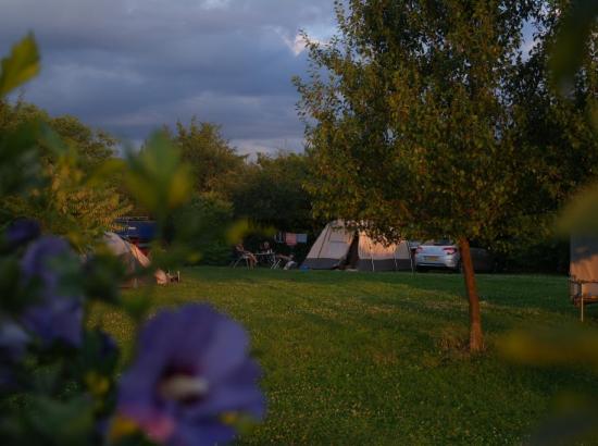 Camping De Oude Wilg (Salcia Batrana)