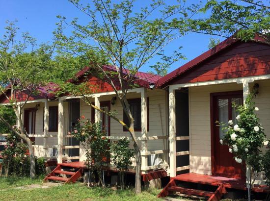 Camping Daviami Camp